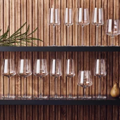 iittala Essence Champagne Glass