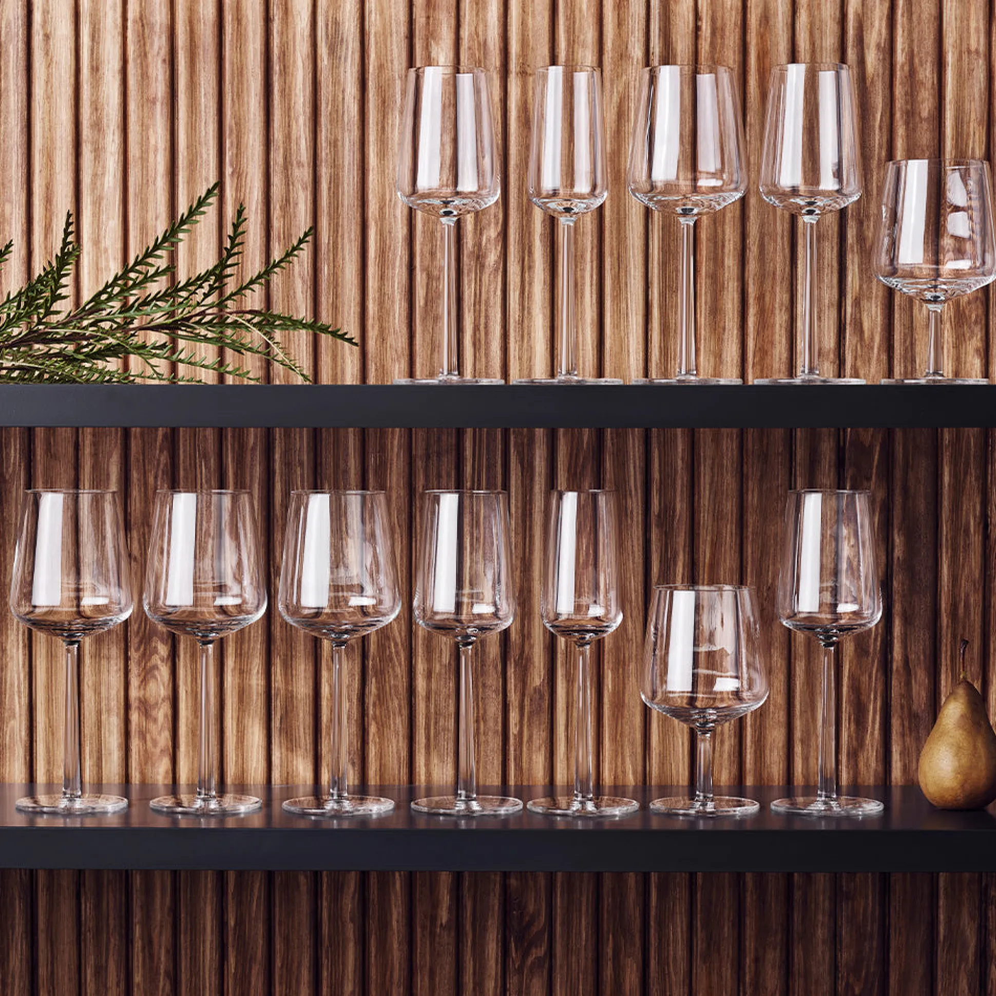 iittala Essence Champagne Glass