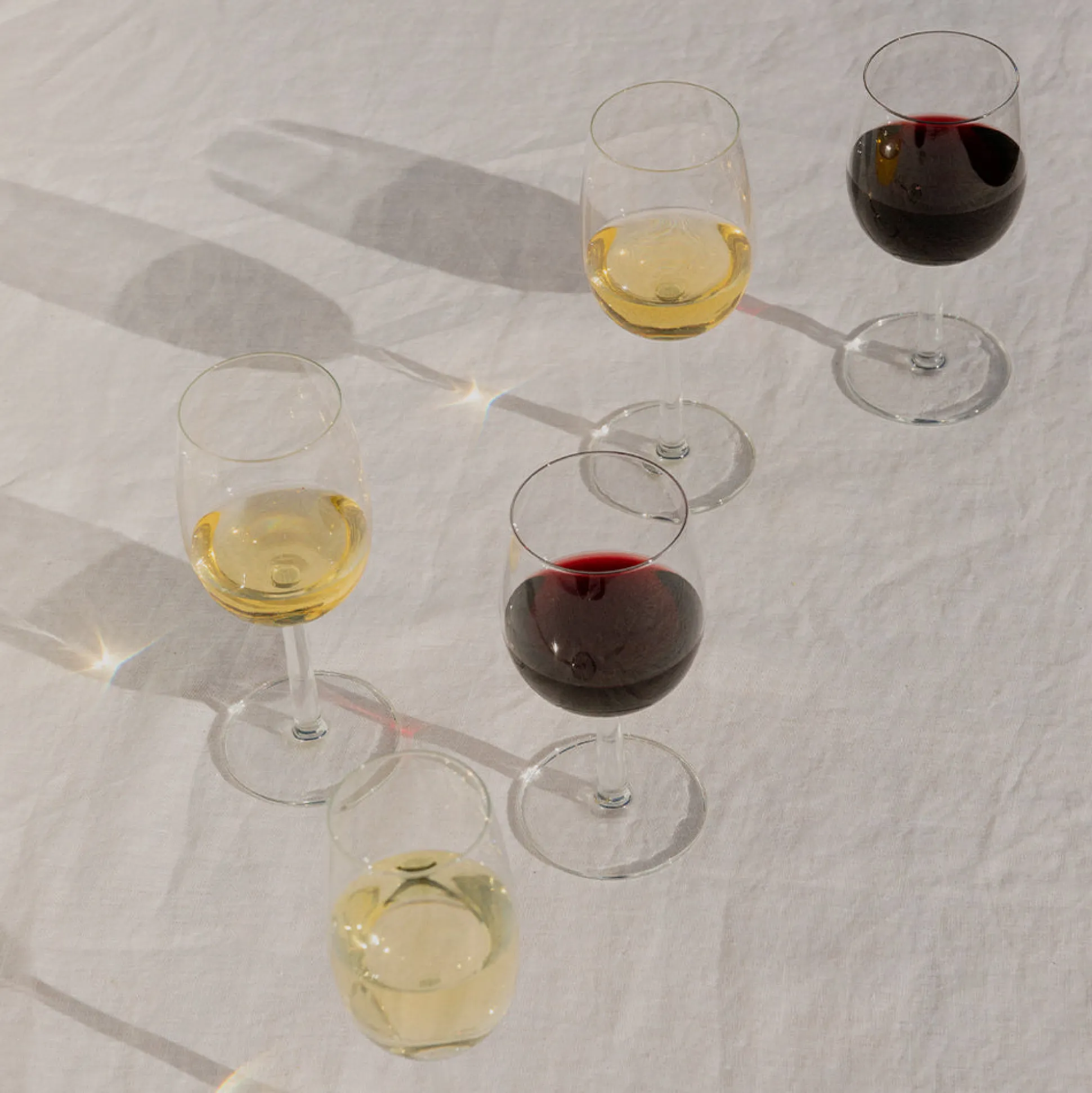 iittala Raami Red Wine Glass (Set of 2)