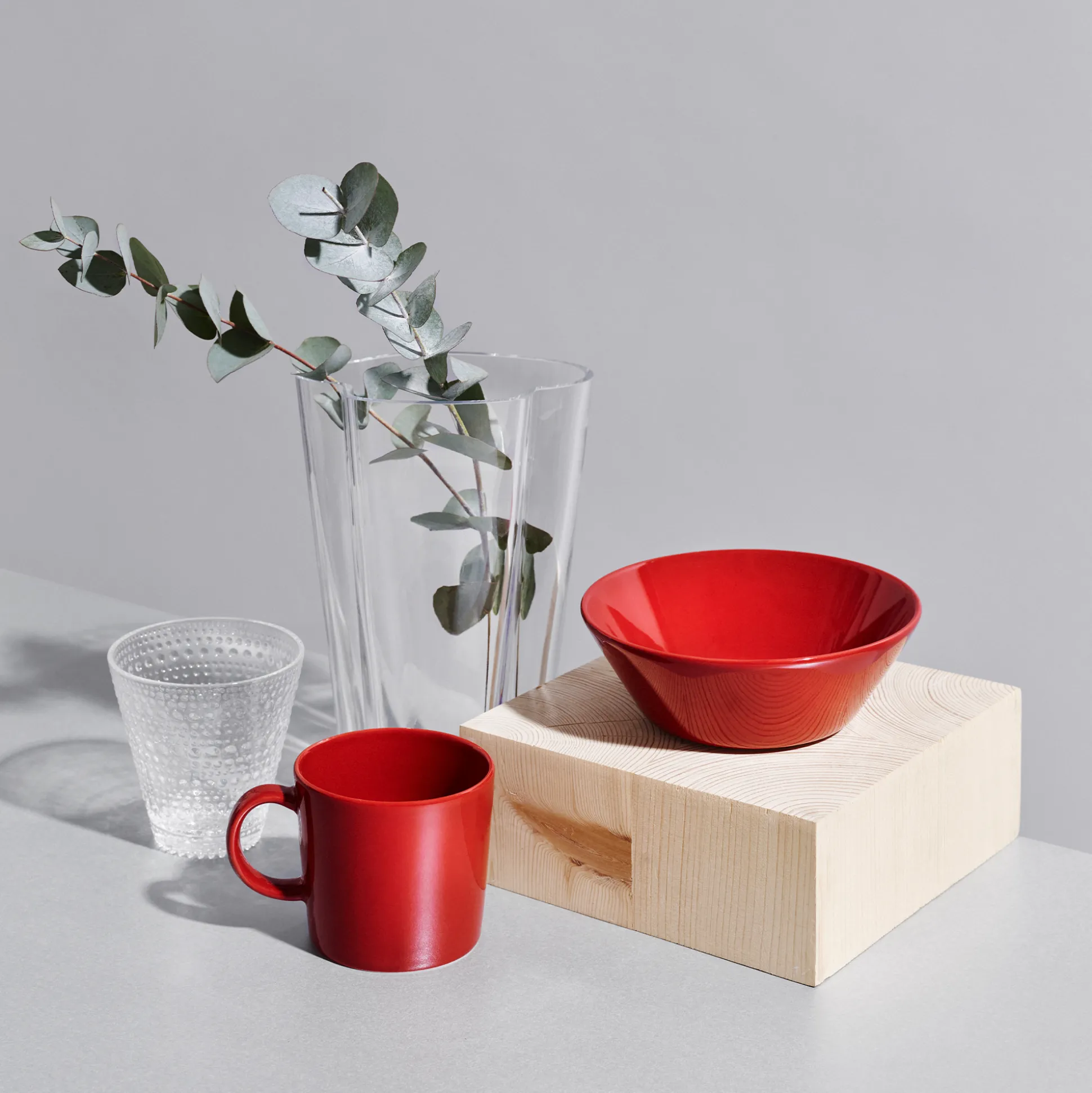 iittala Teema Red Mug