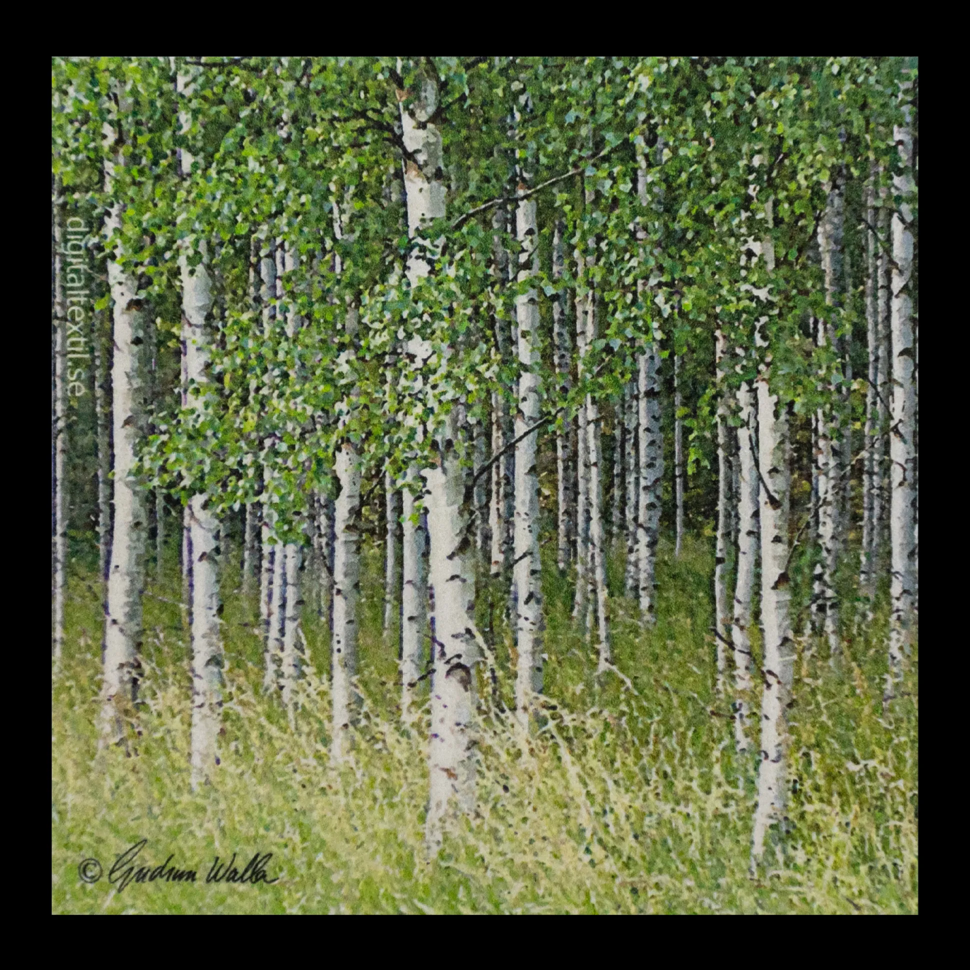 Swedish Dishcloth - Birch Trees