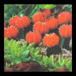 Swedish Dishcloth - Red Cactus